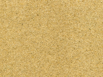 100 grit sand paper.jpg