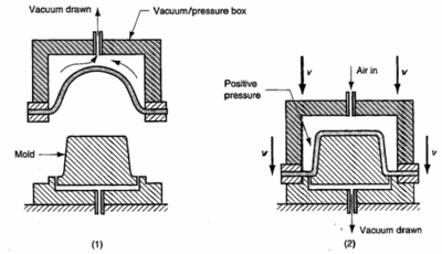 thermoformed4.gif