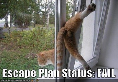 funny-pictures-escape-plan-fail.jpg