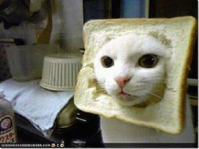 Cat Bread Face.jpg
