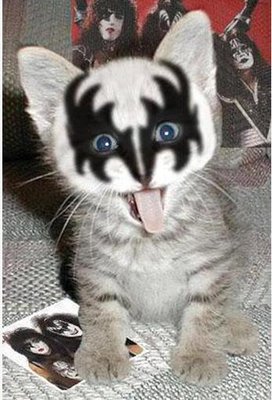 Gene Simmons Cat.jpg
