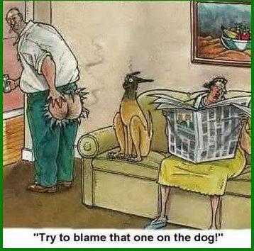 Blame the dog.jpg