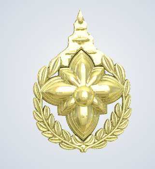 BSG pin 01.PNG