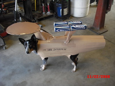 enterprise beer dog.jpg