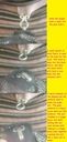 Filename=Skirt_Attachment_Info.jpg
Filesize=177KiB
Dimensions=814x1707
Date added=Jun 23, 2015 Skirt_Attachment_Info.jpg