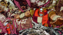 Filename=Junkion_Screencap_08.png
Filesize=5466KiB
Dimensions=1920x1080
Date added=Oct 29, 2017 Junkion_Screencap_08.png