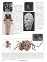 Hollywood_Auction_40_Page_158.jpg