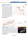 ScreenUsed_Live_On-Line_Auction_Page_27.jpg