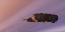Filename=Battlestar_Screencap_14.png
Filesize=586KiB
Dimensions=1440x710
Date added=Aug 23, 2016 Battlestar_Screencap_14.png
