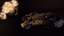 Filename=Battlestar_Screencap_29.png
Filesize=887KiB
Dimensions=1440x810
Date added=Aug 23, 2016 Battlestar_Screencap_29.png