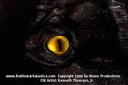 Filename=Imperious_Leader_Eye.jpg
Filesize=44KiB
Dimensions=500x333
Date added=Sep 26, 2015 Imperious_Leader_Eye.jpg
