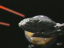 Filename=BSG_The_Second_Coming_Trailer_Screencap_78.png
Filesize=272KiB
Dimensions=640x480
Date added=Sep 26, 2015 BSG_The_Second_Coming_Trailer_Screencap_78.png