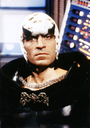Hawk_01~0.JPG