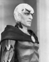 Hawk_01~1.JPG