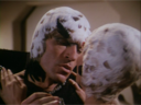 Hawk_Screencap_090.png