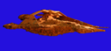 Draconia_01.PNG