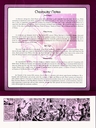 Buck_Rogers_09.jpg
