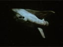 Buck_Rogers_The_Guardians_BSG_Reuse_03.png