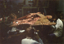 Draconia_Original_Miniature_under_Construction_02.jpg