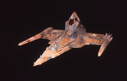 Filename=Marauder_Original_Miniature_17.jpg
Filesize=167KiB
Dimensions=2000x1279
Date added=Jun 30, 2017 Marauder_Original_Miniature_17.jpg