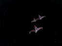 Filename=Marauder_Screencap_36.png
Filesize=274KiB
Dimensions=1464x1080
Date added=Jun 29, 2017 Marauder_Screencap_36.png