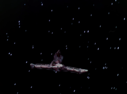 Filename=Marauder_Screencap_43.png
Filesize=291KiB
Dimensions=1464x1080
Date added=Jun 29, 2017 Marauder_Screencap_43.png
