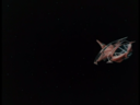 Filename=Shuttle_Screencap_03.png
Filesize=465KiB
Dimensions=1440x1080
Date added=Nov 30, 2014 Shuttle_Screencap_03.png