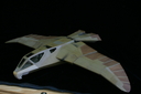 Filename=Hawk_Fighter_Original_Miniature_02.JPG
Filesize=673KiB
Dimensions=1536x1024
Date added=Jul 01, 2017 Hawk_Fighter_Original_Miniature_02.JPG