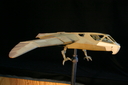 Filename=Hawk_Fighter_Original_Miniature_04.JPG
Filesize=773KiB
Dimensions=1536x1024
Date added=Jul 01, 2017 Hawk_Fighter_Original_Miniature_04.JPG