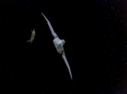 Filename=Hawk_Fighter_Screencap_10.png
Filesize=312KiB
Dimensions=1464x1080
Date added=Jul 01, 2017 Hawk_Fighter_Screencap_10.png