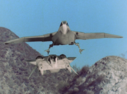 Filename=Hawk_Fighter_Screencap_19.png
Filesize=2486KiB
Dimensions=1464x1080
Date added=Jul 01, 2017 Hawk_Fighter_Screencap_19.png