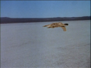 Filename=Starfighter_Screencap_42.png
Filesize=1308KiB
Dimensions=1440x1080
Date added=Nov 30, 2014 Starfighter_Screencap_42.png