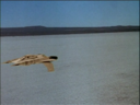 Filename=Starfighter_Screencap_43.png
Filesize=1180KiB
Dimensions=1440x1080
Date added=Nov 30, 2014 Starfighter_Screencap_43.png