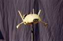 Filename=Mantis_Original_Miniature_01.jpg
Filesize=1577KiB
Dimensions=3544x2345
Date added=Jun 29, 2017 Mantis_Original_Miniature_01.jpg