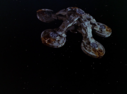 Filename=Theta_Space_Station_Screencap_06.png
Filesize=1106KiB
Dimensions=1464x1080
Date added=Jul 01, 2017 Theta_Space_Station_Screencap_06.png