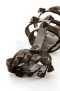 Filename=Draconian_Original_Holster.JPG
Filesize=293KiB
Dimensions=1000x1500
Date added=Aug 21, 2012 Draconian_Original_Holster.JPG