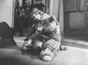 BSG_Cast_Boxey___Muffit_II_04.jpg