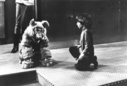 Filename=BSG_Cast_Muffit_II___Boxey_02.jpg
Filesize=84KiB
Dimensions=902x612
Date added=Oct 14, 2016 BSG_Cast_Muffit_II___Boxey_02.jpg