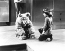 Filename=BSG_Cast_Muffit_II___Boxey_03.jpg
Filesize=1497KiB
Dimensions=2048x1617
Date added=Oct 14, 2016 BSG_Cast_Muffit_II___Boxey_03.jpg