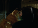 Boxey_Screencap_53.png