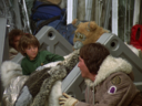 Filename=Boxey_Screencap_55.png
Filesize=3326KiB
Dimensions=1440x1080
Date added=Jun 03, 2015 Boxey_Screencap_55.png