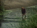 Lieutenant_Starbuck_Screencap_371.png