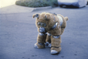 Filename=Muffit_II_Behind_the_Scenes_15.jpg
Filesize=2744KiB
Dimensions=5412x3612
Date added=Oct 09, 2016 Muffit_II_Behind_the_Scenes_15.jpg