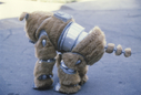 Filename=Muffit_II_Behind_the_Scenes_16.jpg
Filesize=2675KiB
Dimensions=5413x3659
Date added=Oct 09, 2016 Muffit_II_Behind_the_Scenes_16.jpg