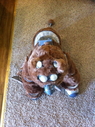 Muffit_II_Replica_Costume_05.jpg