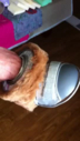 Muffit_II_Replica_Foot.mp4