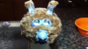 Muffit_II_Replica_Head.mp4