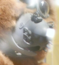 Muffit_II_Original_Costume_11.jpg