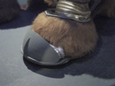 Muffit_II_Original_Costume_34.jpg
