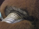 Muffit_II_Original_Costume_35.jpg